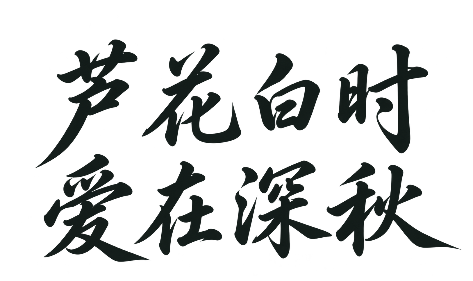 芦花白时,爱在深秋